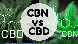 CBD vs CBN