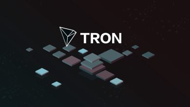 Key Highlights of TRON