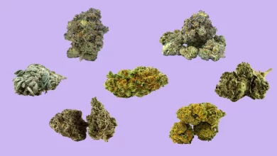 10 Cannabis Products You Should Try in 2022