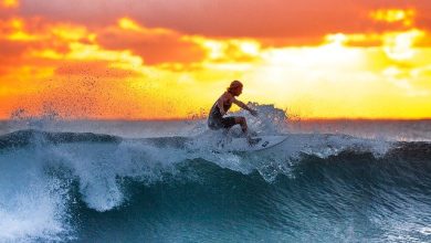 7 Useful Tips for Beginning Surfers Today