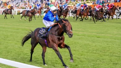 Three Charlie Appleby and Godolphin horses to follow at Royal Ascot