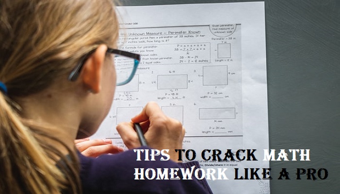 Tips To Crack Math Homework Like A Pro