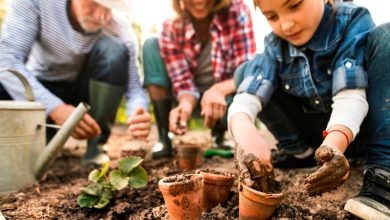 How Popular Is Gardening Among Youth