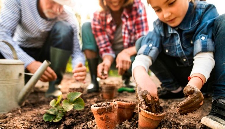 How Popular Is Gardening Among Youth