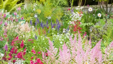 How to Make Your Garden Eco-friendly