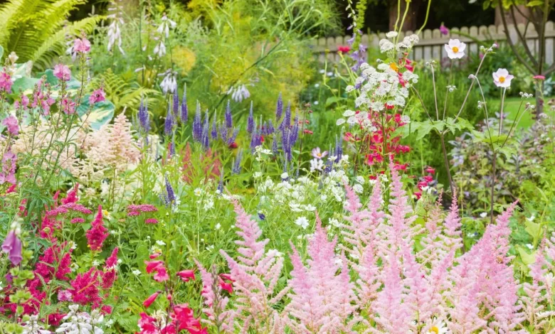 How to Make Your Garden Eco-friendly