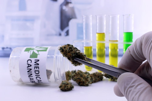 Cannabis and chemotherapy