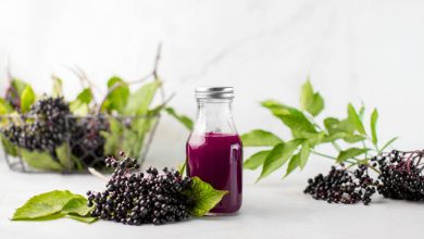 Elderberry For Weight Loss- Simple Ways To Include It In Diet