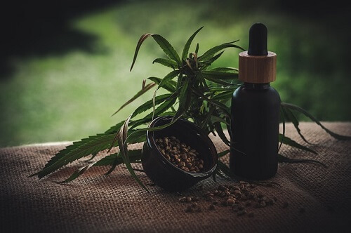 Top Things You Should Know Before Buying CBD Tincture