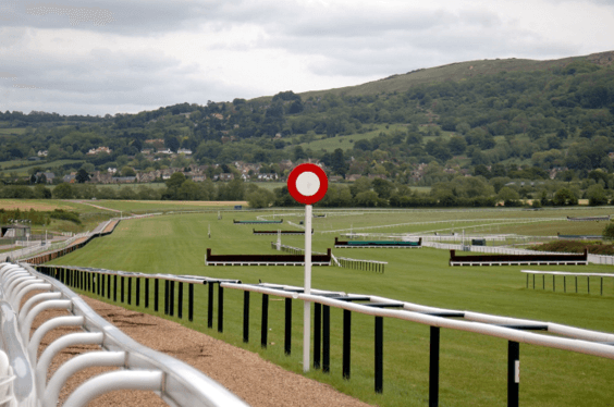 Cheltenham Festival: Analysing the Gold Cup ante-post market