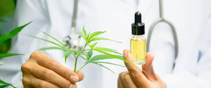 Unlocking the Benefits: The Power of CBD Capsules