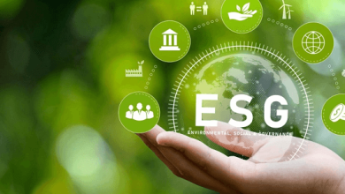 Building a Culture of Sustainability: Embracing ESG Principles for Success 