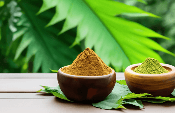 Kratom & Kava: Comparing Their Effects In Beverages