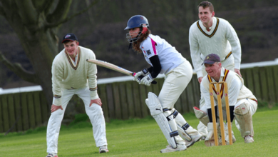 How Important Are Weather and Pitch Reports for Cricket Predictions?