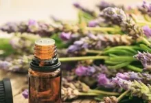 Essential Oils for Anxiety What Science Says
