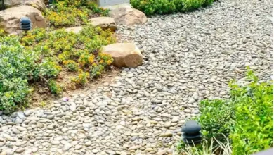 Rock Stone Choices for Modern Landscaping Projects 